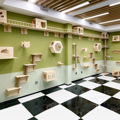 Cat  Wall Mounted Climbing Frame Cat Tree Solid Wood Cat跨境