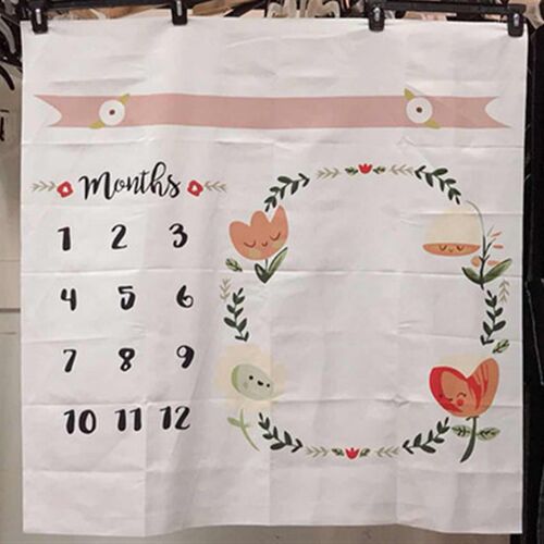 Baby Milestone Background Photo Blanket Infant Photography B
