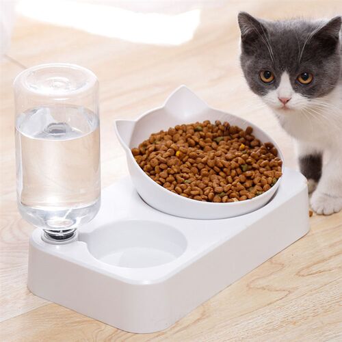 Pet Bowl Automatic Feeder Dog Cat Food Bowl with Water Dispe