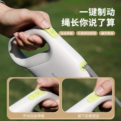 Pet leash - retractable, controllable, safety leash for walk