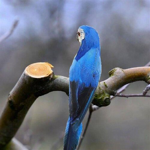 Simulated Parrot Ornament Artificial Decoration with