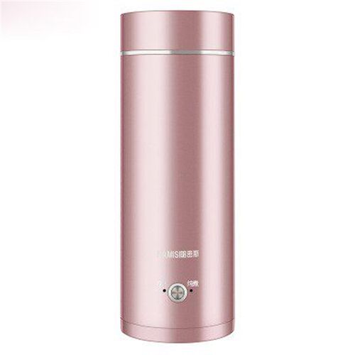 Portable Mini Electric Kettle Water Thermal Heating Boiler