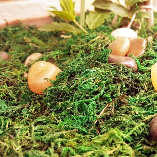 30g/bag 60g/bag Building model materials,green moss, turf, m