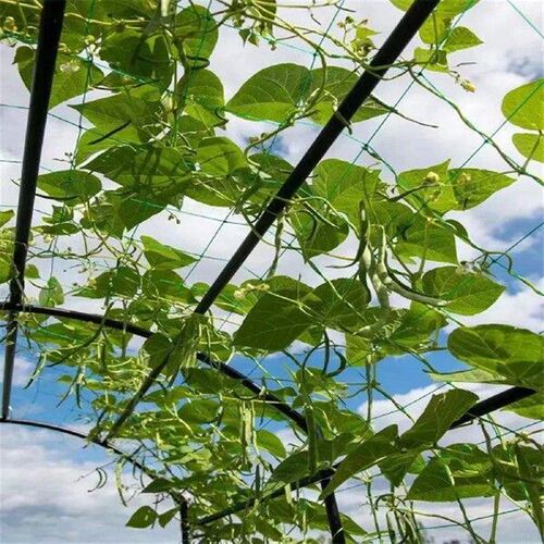 Plastic Plant Climbing Vine Net Orchid Netting Vine Support