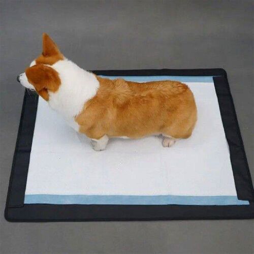 Diaper Holder for Puppies Dog Potty Training Tool with