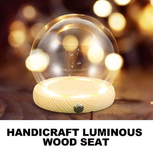 Hand-Made Glass Cover Dome Glowing Home Decor Small Plant