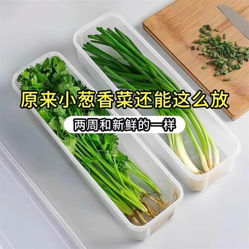Coriander and Scallion Storage Box for Refrigerator, Keeps C