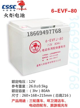 火炬蓄电池V8VV观光巡逻车电动铅酸蓄用免维护电池3EVF200