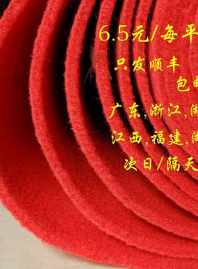 红地毯加厚舞台开业店铺门口结婚礼庆典长期反复使用防滑楼梯加厚