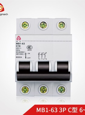 MB1-3泰永长征TYT长九C32CC家用1断路器10空气开关总闸P