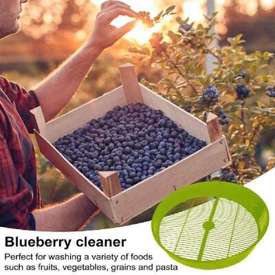 Blueberry Food Sieve Colander Cleaning Tray Drain Berry