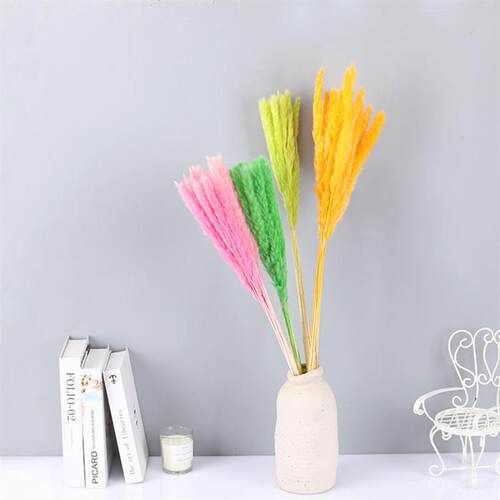 Eternal Small Reeds Dried Flowers Pampas Reed Pampas Natural