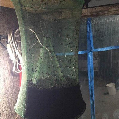 Pest Control Reusable Hanging Bug Fly Catcher Killer Flies