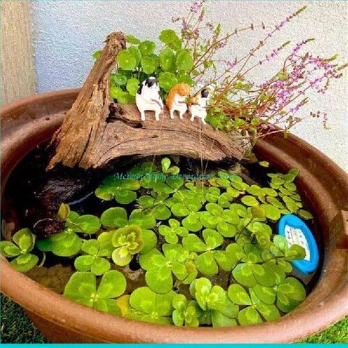 H7BF Aquariums Decorative Accessories Fish Tanks Hangable