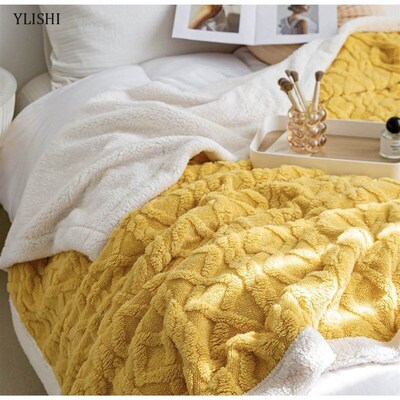 被子毛毯 velvet thick warm winter quilt duvet 2sides blanket
