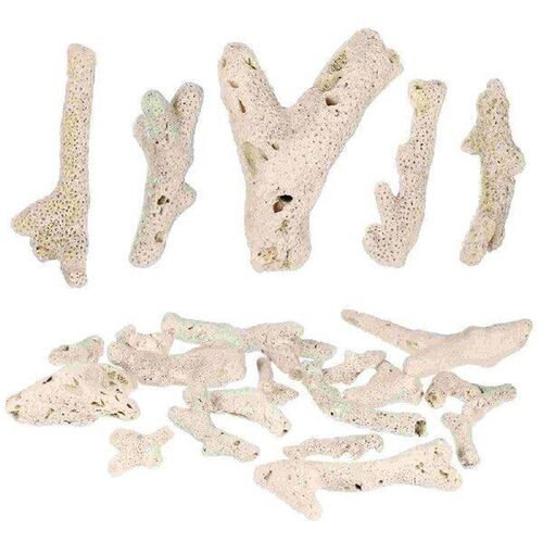 3 -10CM500g Fish Tank Big Coral Bone Strainer Air Filters