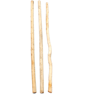 原木白桦木树干杉木去皮树干实木架子装饰隔断造型树干造景猫爬架