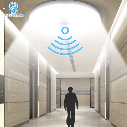 Led Ceiling Lights 220V 12W 18W 50W 20W Ceiling Lamp with Mo