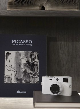 抽象艺术真书装饰书Picsso 毕加索大师绘画作品样板房售楼处摆件