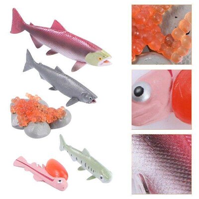 4 Pcs Rayan Toys for Kids Growth Cycle Model Sea Animal