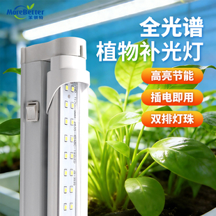 茉钡特生物植物补光灯仿太阳全光谱T8LED双排组培灯室内植物生长