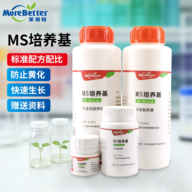 茉钡特组培MS培养基干粉高萌发