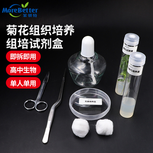 茉钡特组培试剂盒即用小学初中高中生物科学菊科菊花组织培养愈伤