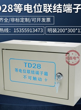 明装TD28等电位联结端子箱卫生间布线箱铜接地盒防水 200*300*100
