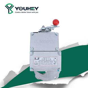 A800C-W电磁油泵执行器配套C2002调速器转速控制器孚创