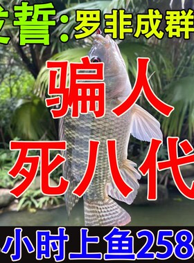 罗非鱼饵料野钓黑坑一包搞定专攻大罗非腥香味散炮饵料打窝料鲫鲤