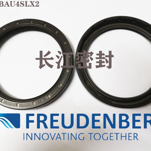 德国进口氟胶骨架油封