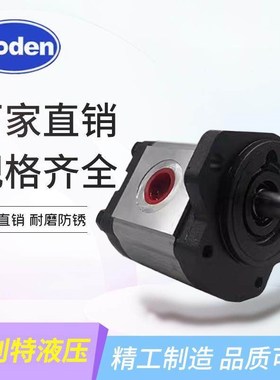 齿轮泵BHP2A0D18C0L0/D08/D1O/D14/D16/D20/D22/D25/D28/D30C0L0