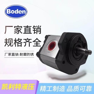 D14 D16 D28 D08 D30C0L0 D25 D1O D22 齿轮泵BHP2A0D18C0L0 D20