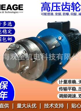 化工高压齿轮泵聚合物医药灌装齿轮计量泵SHEAGESG707-CS