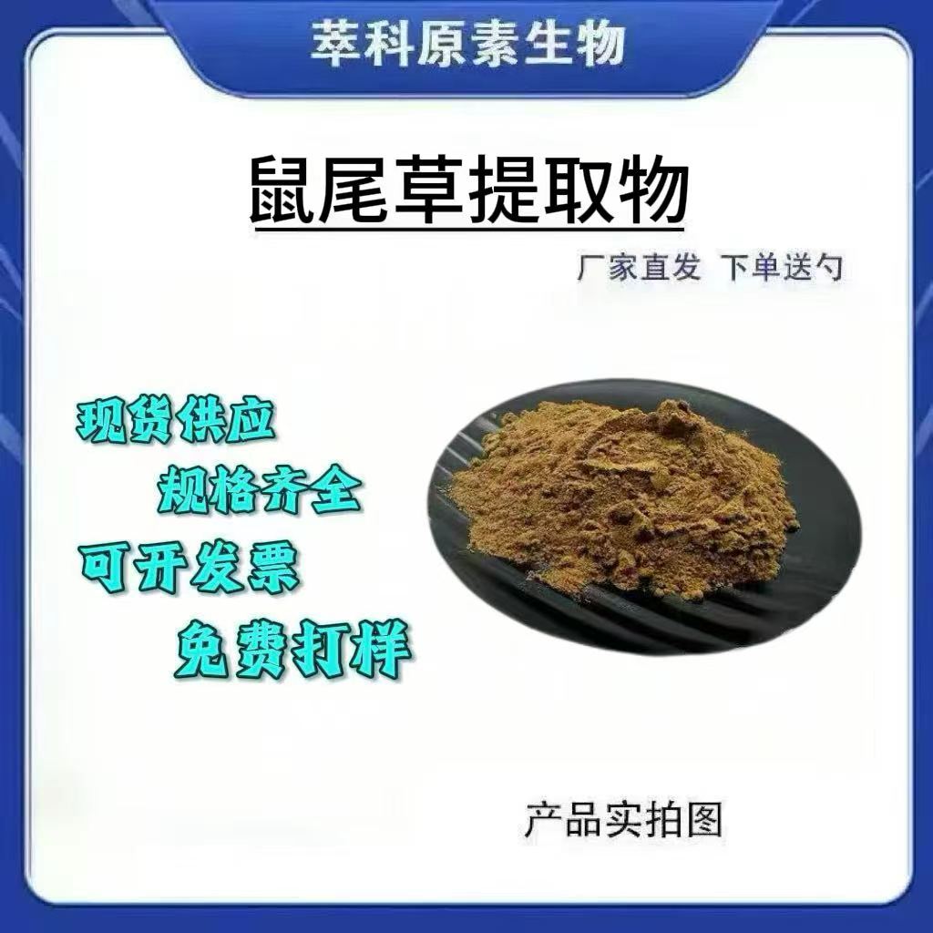 鼠尾草酸501提取粉500g起订