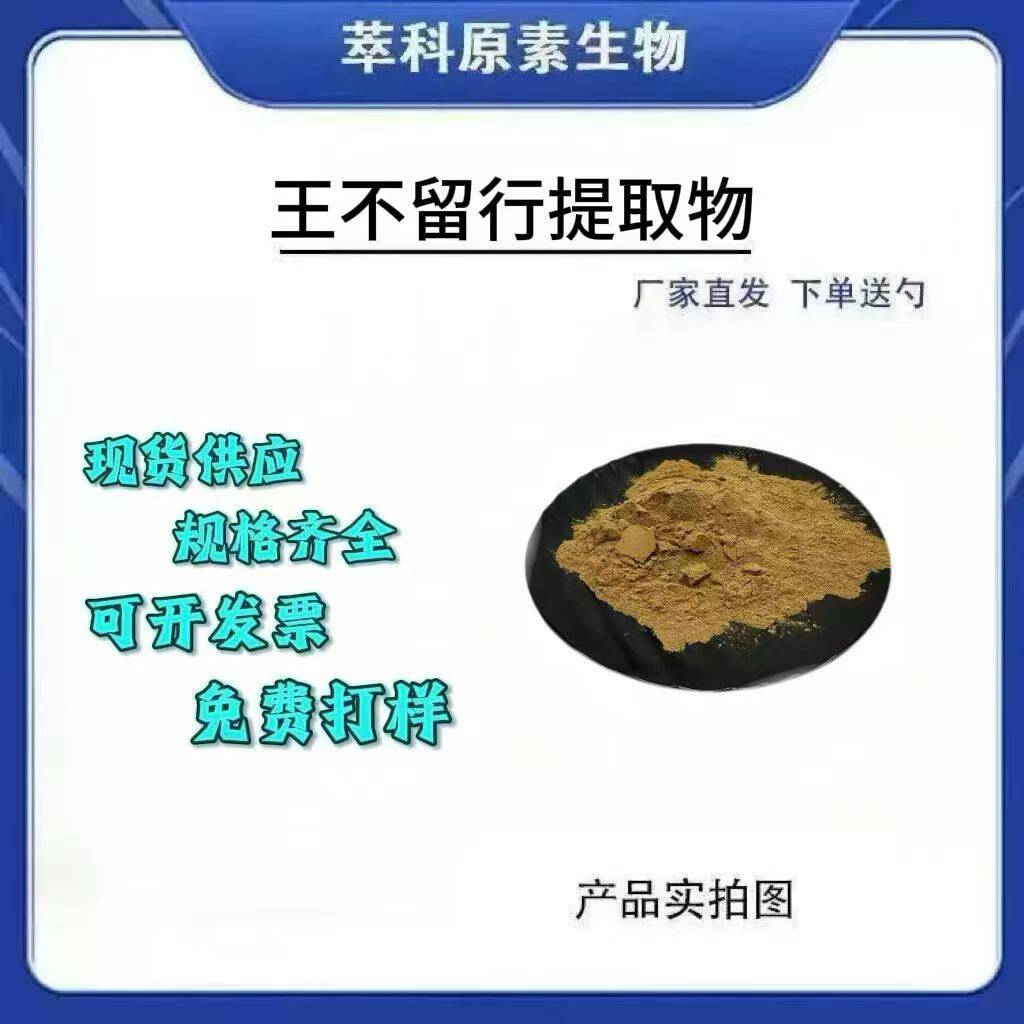 王不留行提取物 30:1王不留行粉 王不留/留行子提取物 水溶 包邮