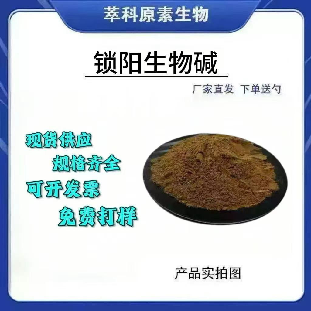 98%水溶性锁阳生物碱提取物