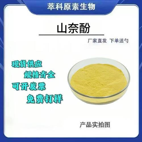 现货98%山奈酚槐角提取物包邮