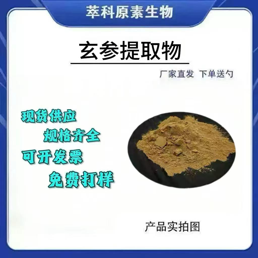 玄参提取物501水溶粉