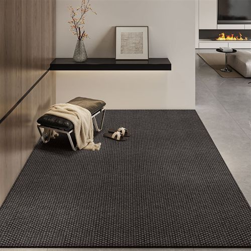地垫入户门垫2025新款高端进门门口地毯耐脏免洗家用防滑玄关垫子