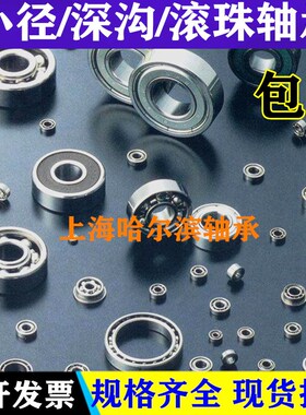 不锈钢滚珠轴承YL-SB6804ZZ/6904ZZ/6004ZZ/6204ZZ/6304ZZ