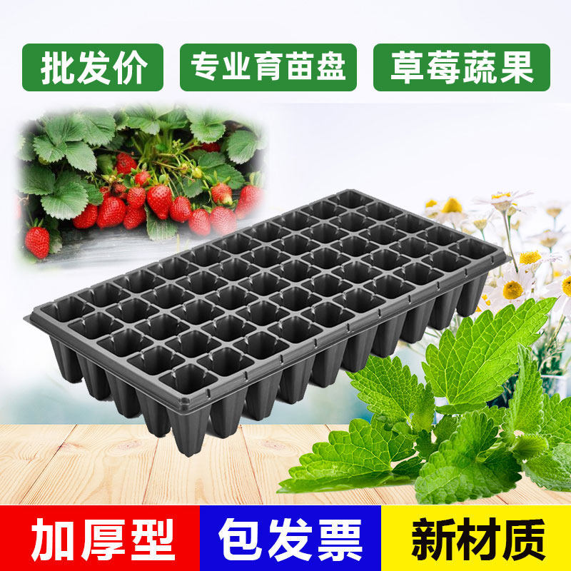 育苗盘穴盘盒箱器托盘辣椒西瓜玉米蔬菜水果林木草莓深口营养钵