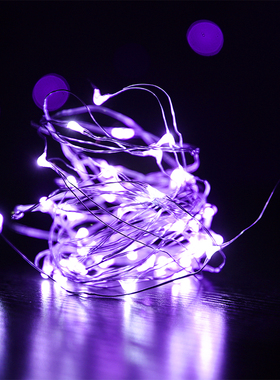 紫光紫色电池铜线灯led彩灯闪灯串灯满天星星装饰花束生日礼物盒
