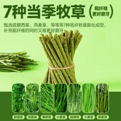 仓鼠零食磨牙棒牧草营养粮金丝熊主粮饲料兔子食物可食用造景用品