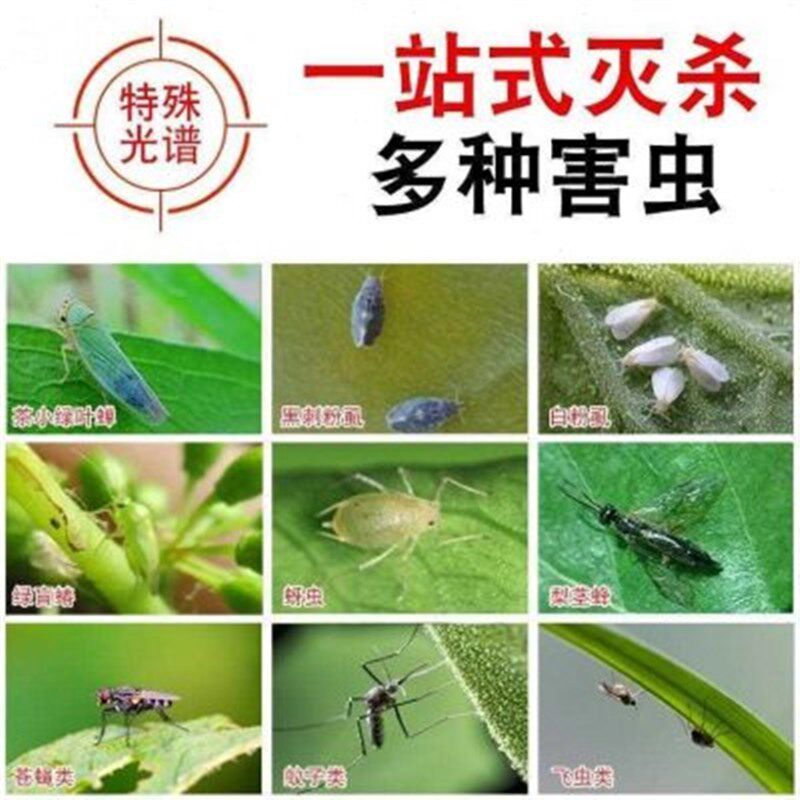 新款虫子蔬菜黄柑橘粘果蝇粘板蜜蜂白粉园林幼虫板沾虱蝇飞虫贴纸,居家日用,头部防护用品,淘宝优惠券,粉丝福利购,淘宝优惠卷
