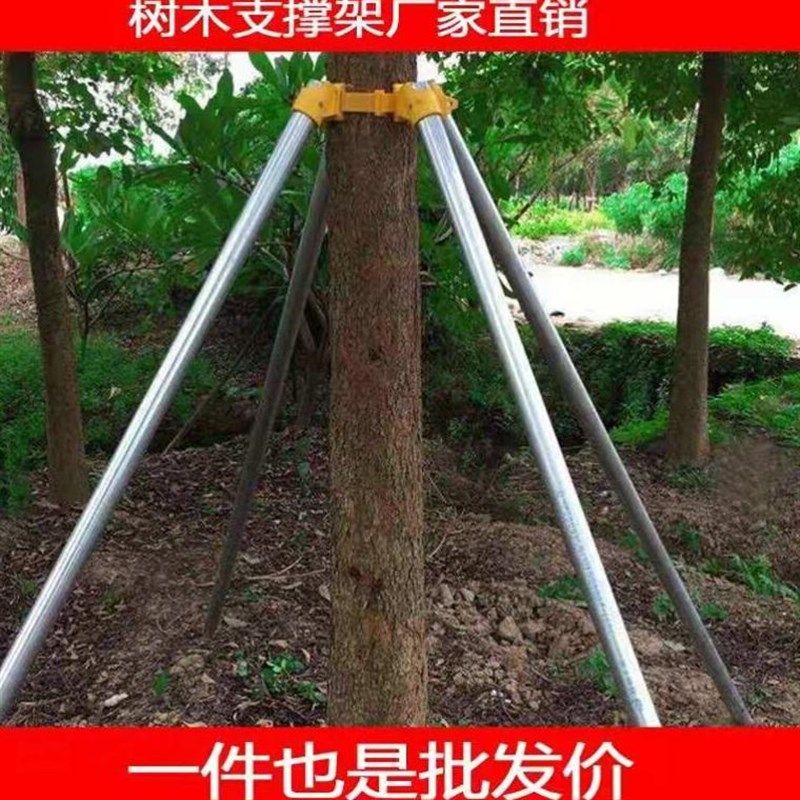 支护防风绿化大树树木固定器防倒扶杆树木固定支撑架园林镀锌钢管,农用物资,苗木固定器/支撑器,淘宝优惠券,粉丝福利购,淘宝优惠卷