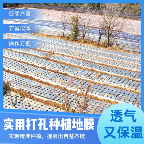 黑色塑料地膜薄膜农用圆孔大蒜种菜打孔果园羊肚菌全新料草莓除草