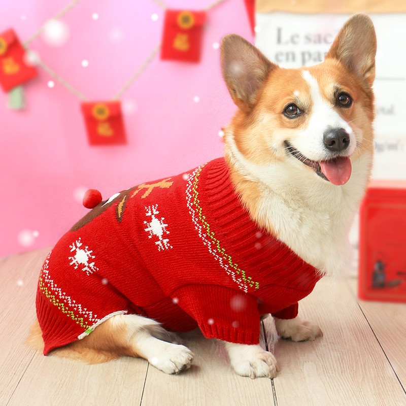 狗狗柯基衣服冬装冬天过年毛衣泰迪柴犬冬季秋冬保暖喜庆网红新年