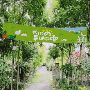 定制露营野营门头横幅订做市集招牌摊位装饰布置野营广告标语挂布