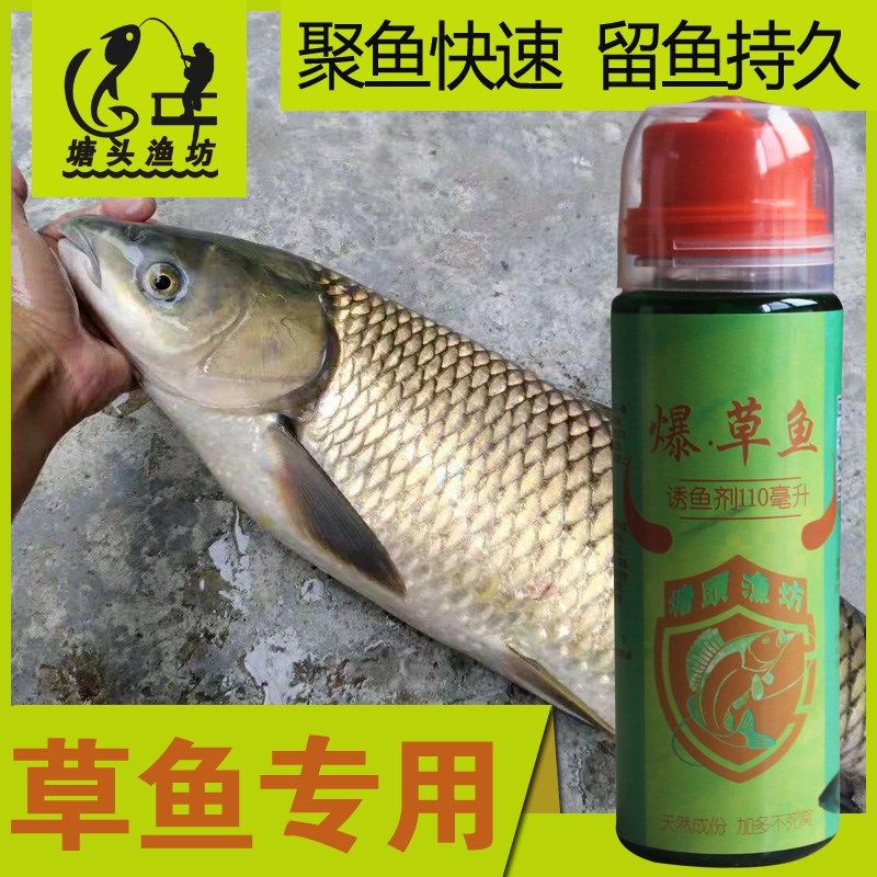 塘头渔坊爆草鱼钓鱼小药野钓专用玉米颗粒窝料黑坑草鱼饵料添加剂,户外/登山/野营/旅行用品,台钓饵,淘宝优惠券,粉丝福利购,淘宝优惠卷